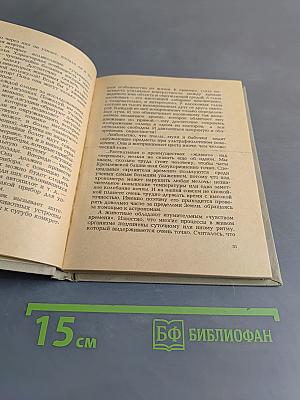 Страна лилипутов