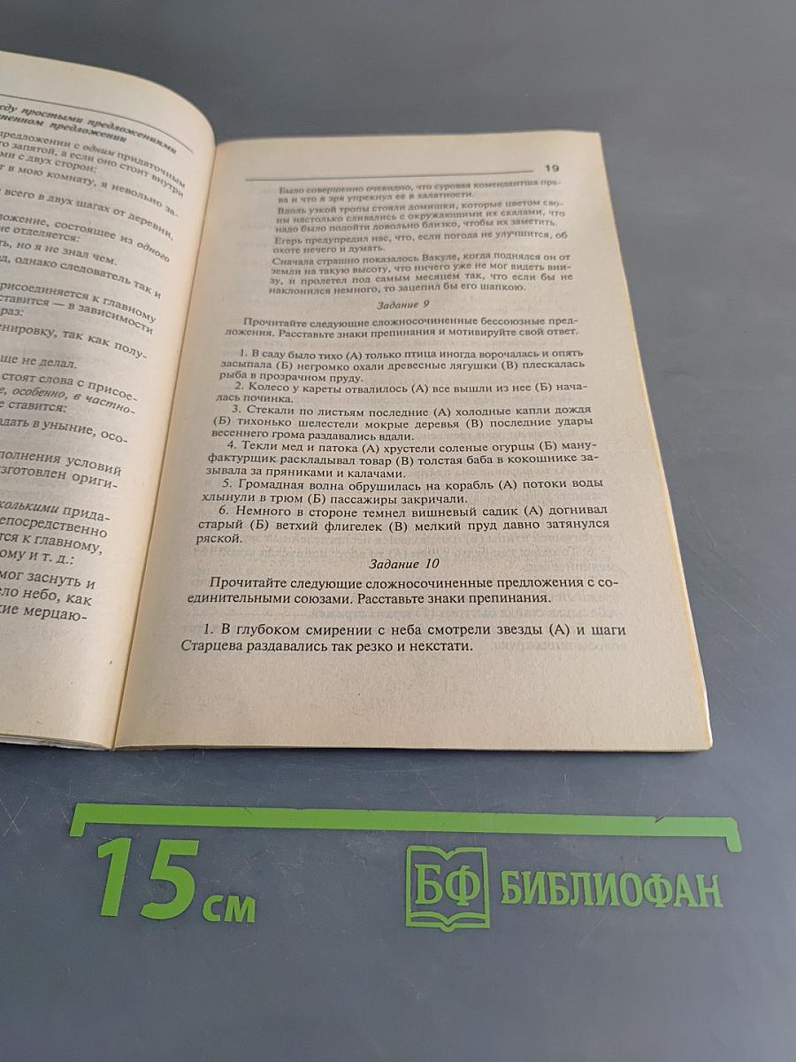 Русский язык. Знаки препинания? Это просто! (Серия «Школьная программа»)