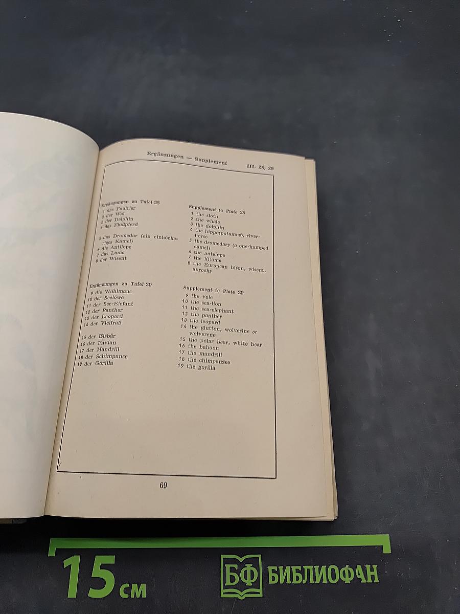 Bild-Wörterbuch Deutsch und Englisch