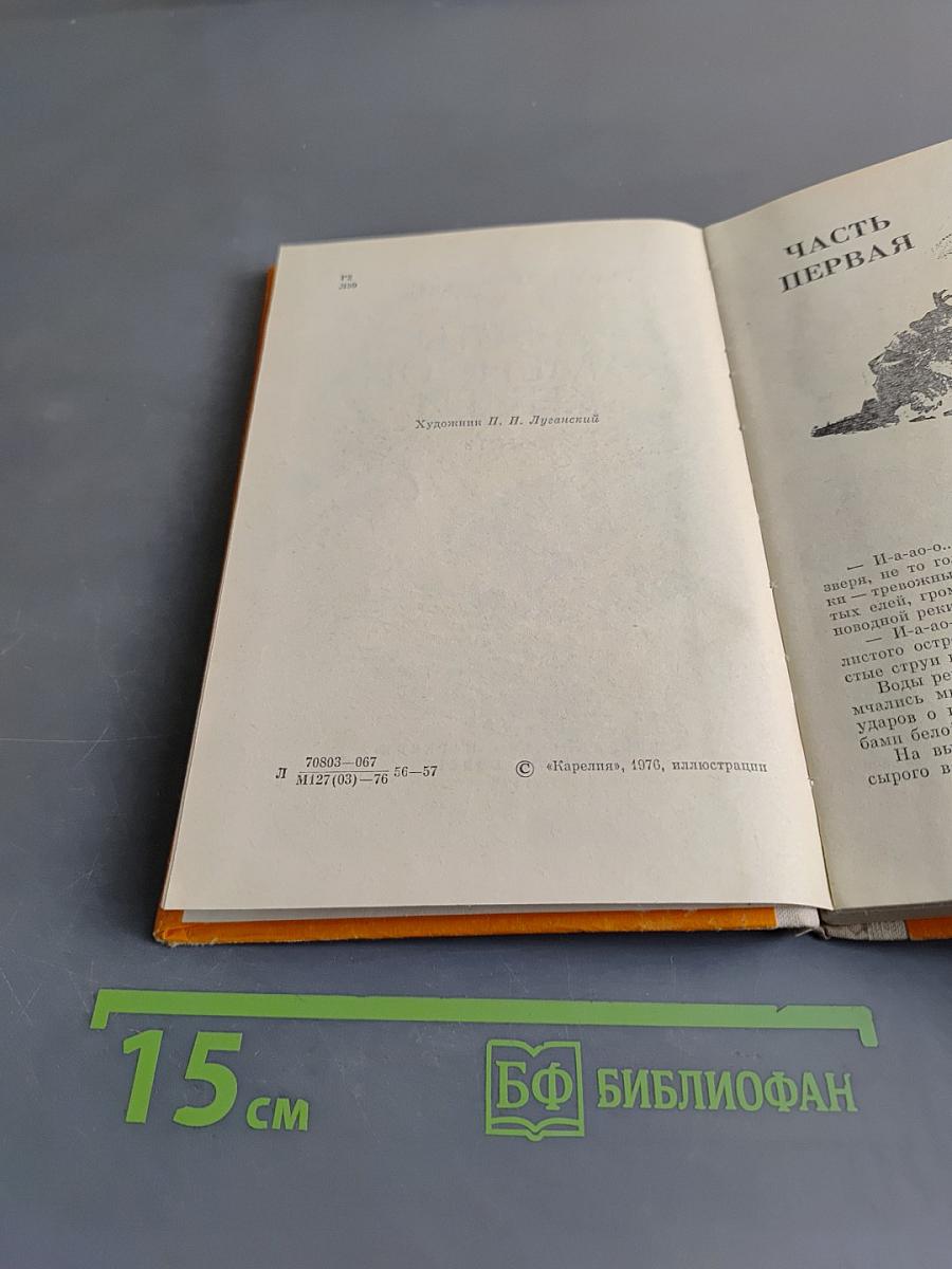 Листы каменной книги
