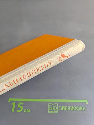 Листы каменной книги