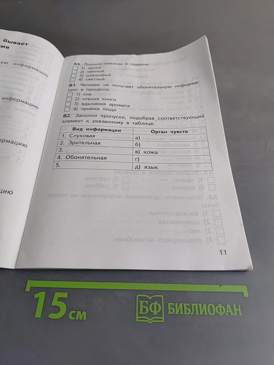 Информатика. Контрольно-измерительные материалы. 2 класс