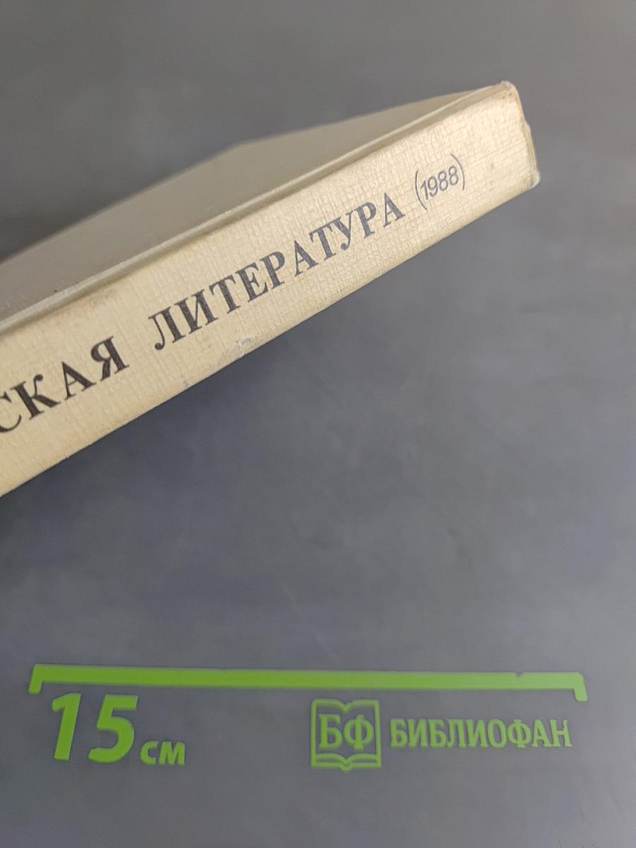 Русская литература 9 класс