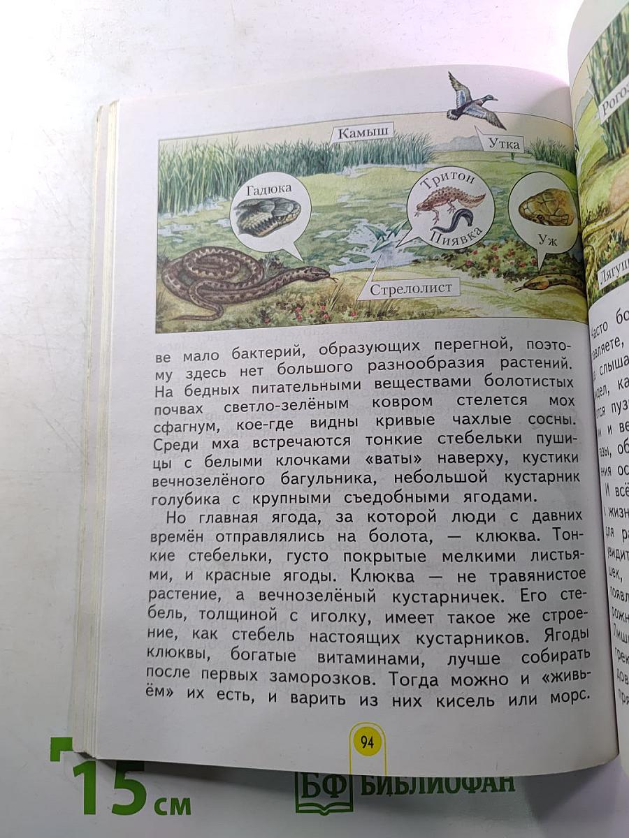 Окружающий мир 3 класс Часть 2