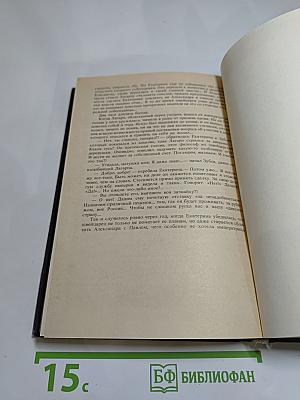 Последняя любовь Нельсона