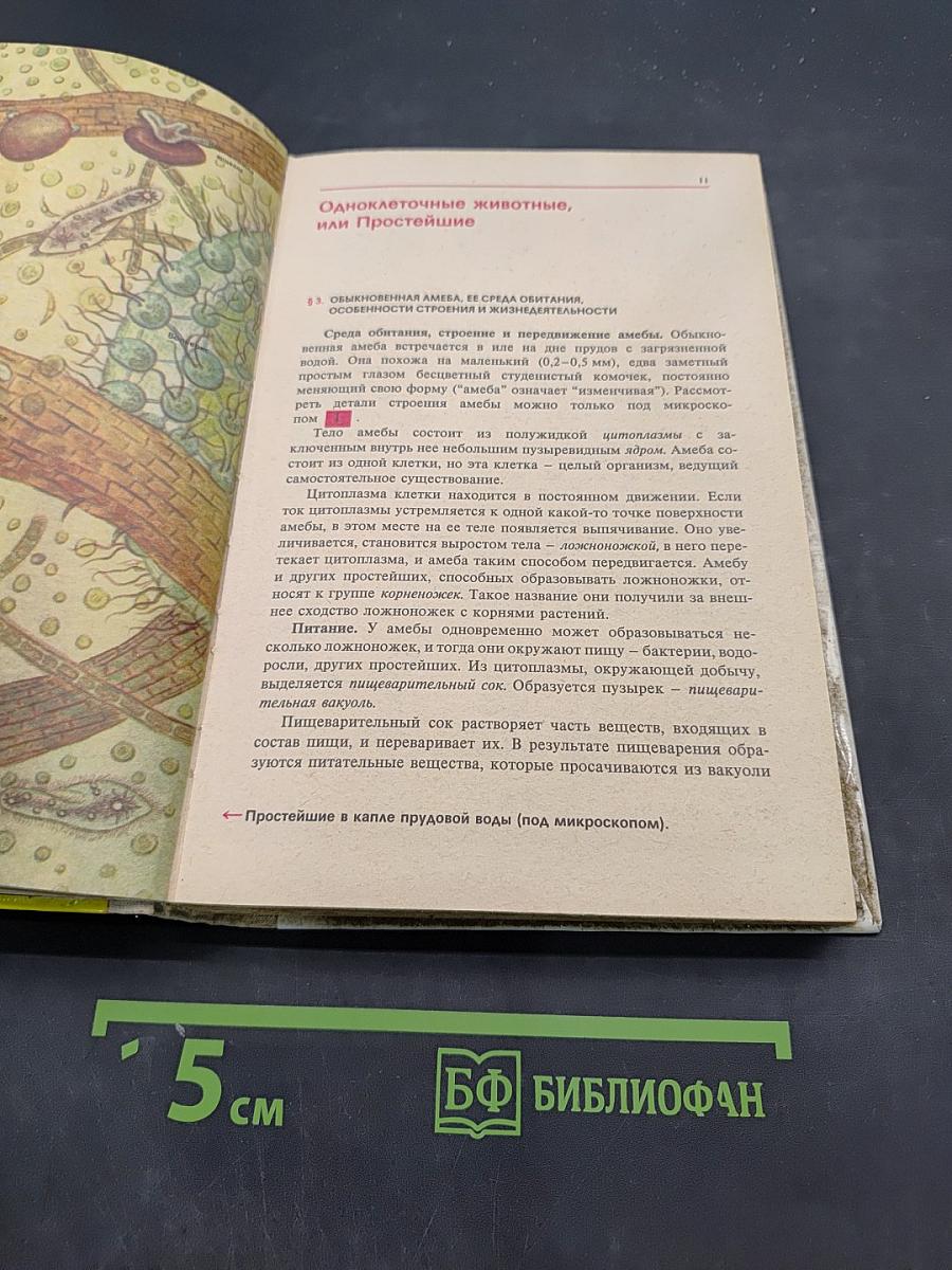 Биология. Животные. Учебник для 7-8 классов средней школы