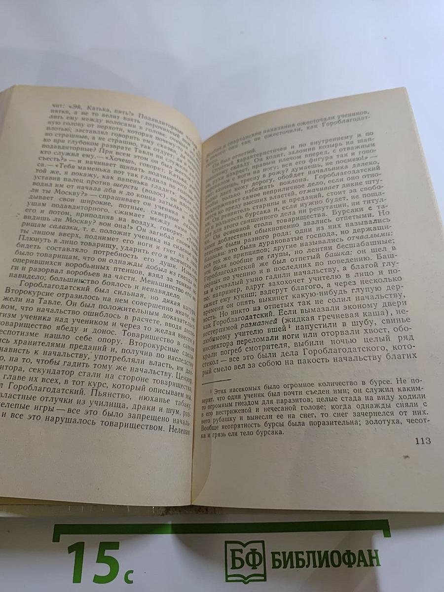 Мещанское счастье. Очерки бурсы.