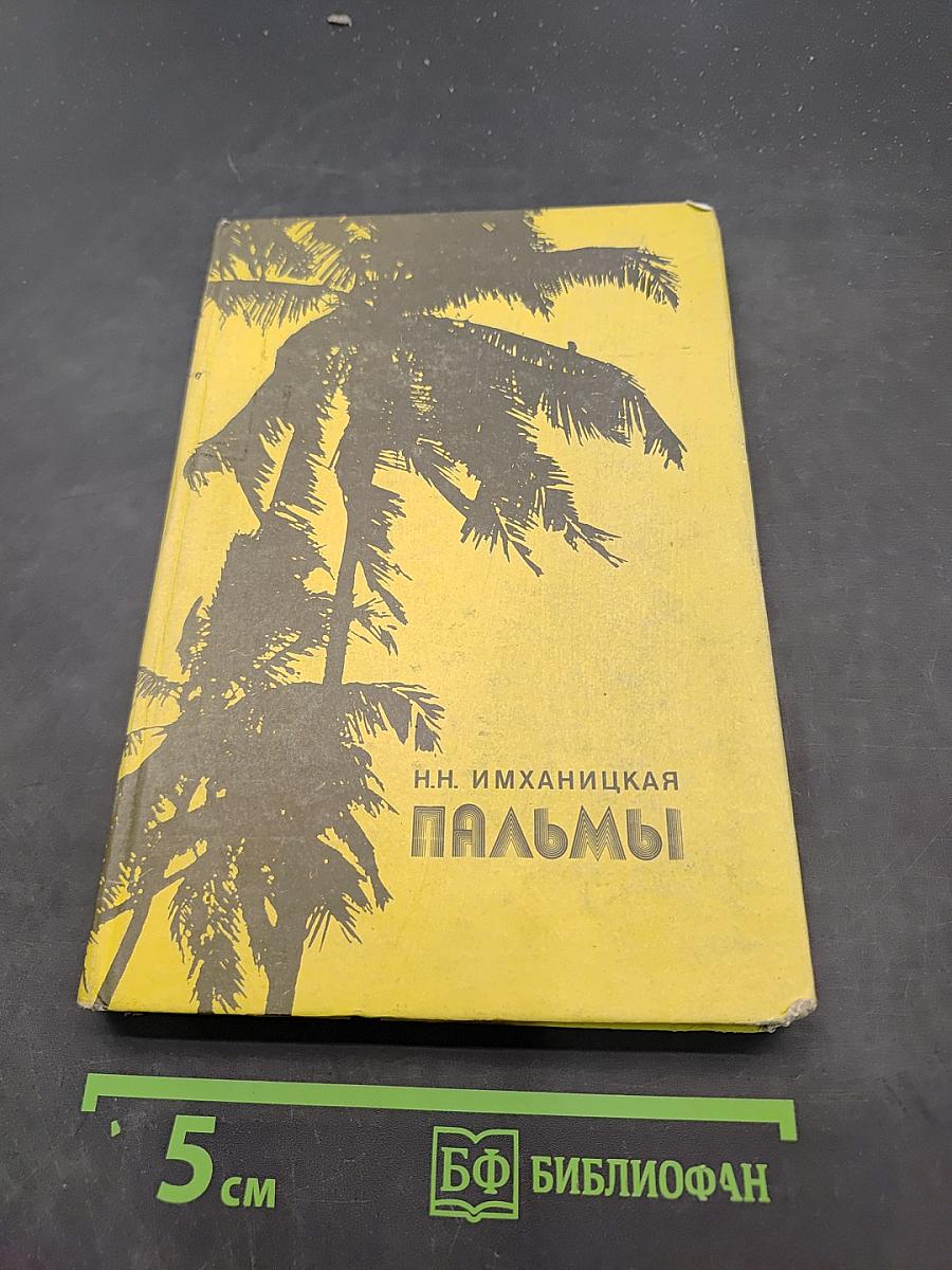 Пальмы