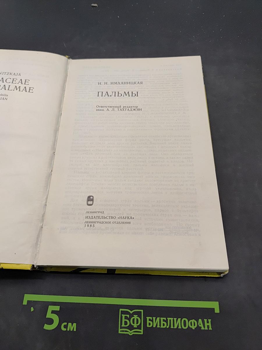 Пальмы