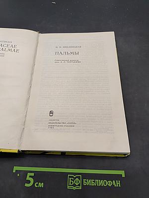 Пальмы
