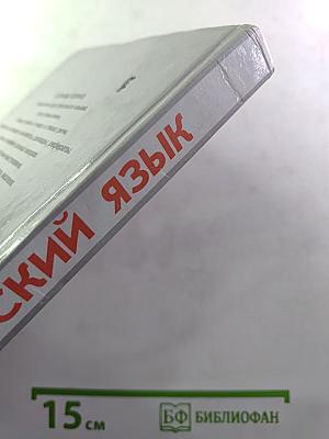Русский язык. Грамматика. Текст. Стили речи. Учебник для 10-11 классов