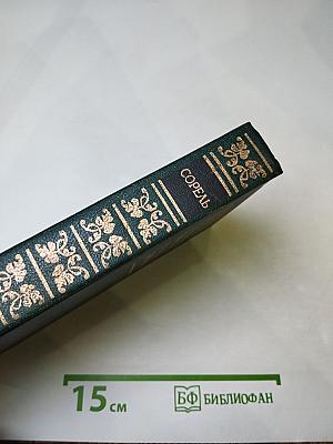 Правдивое комическое жизнеописание Франсиона