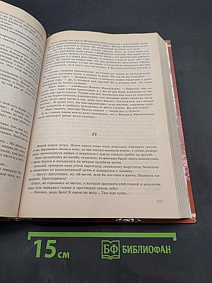 Собор. Роман о петербургском зодчем