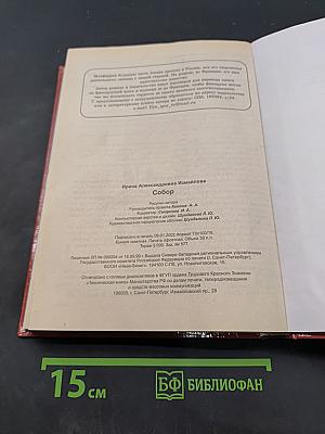 Собор. Роман о петербургском зодчем