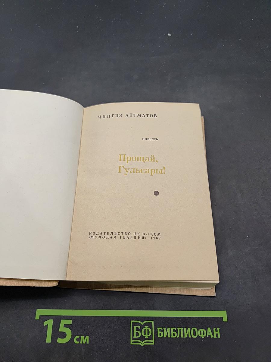 Прощай, Гульсары!