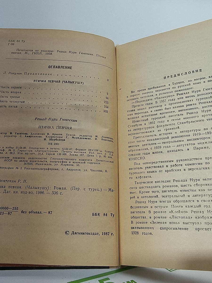 Птичка Певчая