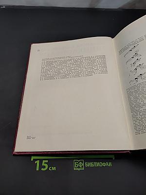 Большая Советская Энциклопедия. Том 4. Брассос — Вещь