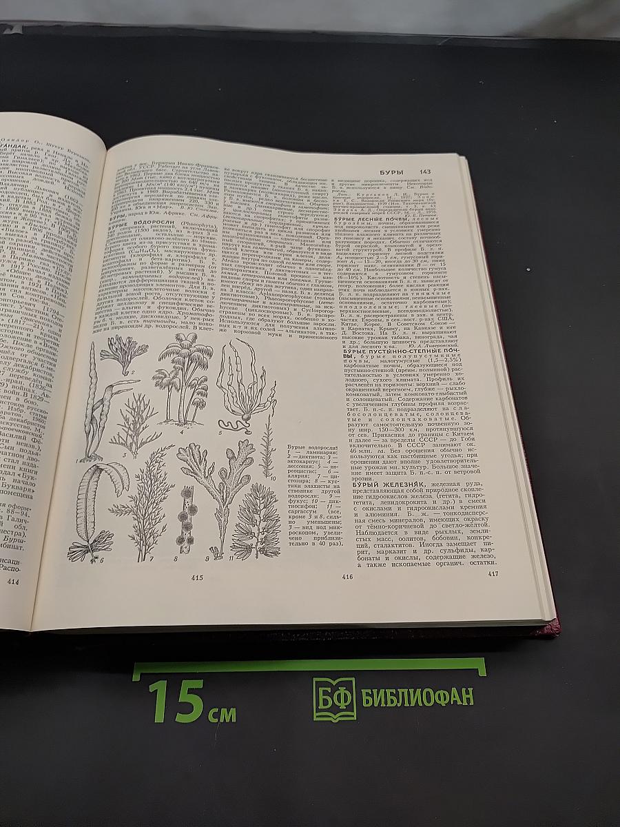 Большая Советская Энциклопедия. Том 4. Брассос — Вещь