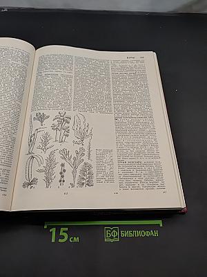 Большая Советская Энциклопедия. Том 4. Брассос — Вещь