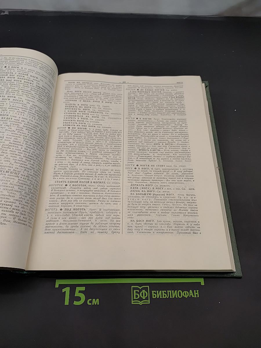 Фразеологический словарь русского языка
