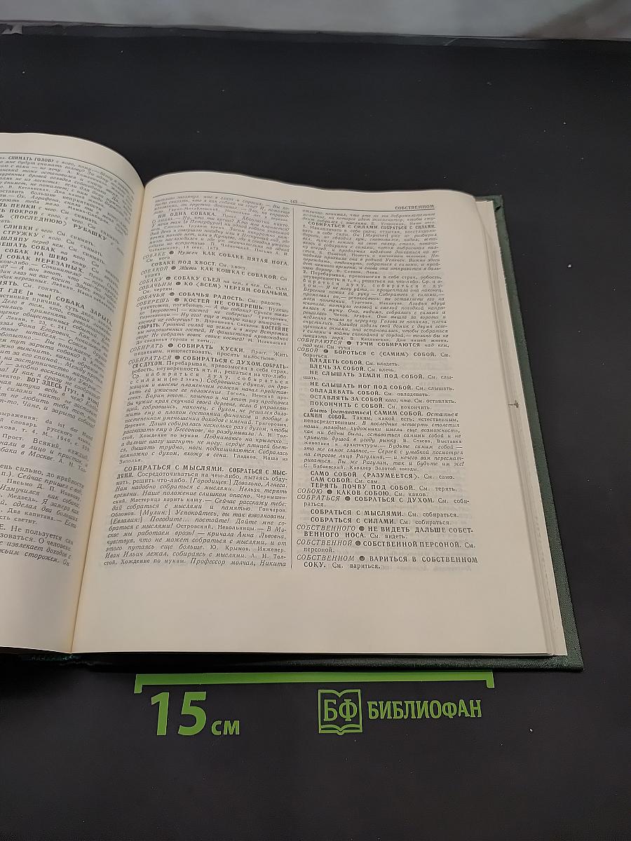 Фразеологический словарь русского языка