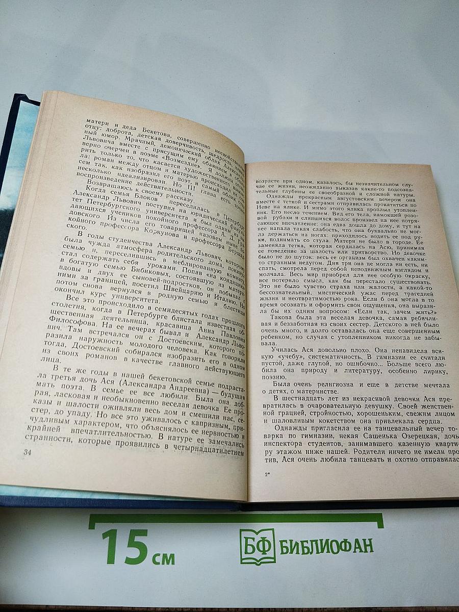 Я лучшей доли не искал... Судьба Александра Блока в письмах, дневниках, воспоминаниях