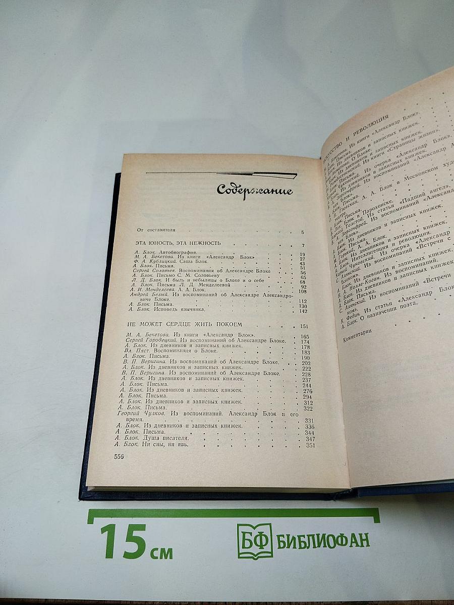 Я лучшей доли не искал... Судьба Александра Блока в письмах, дневниках, воспоминаниях