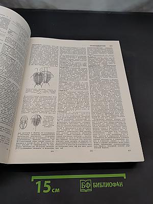 Большая Советская Энциклопедия. Том 26