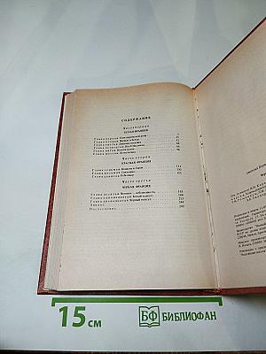 Черный консул