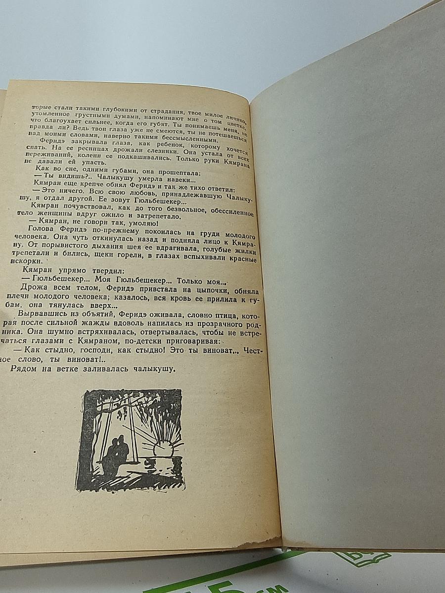 Птичка Певчая