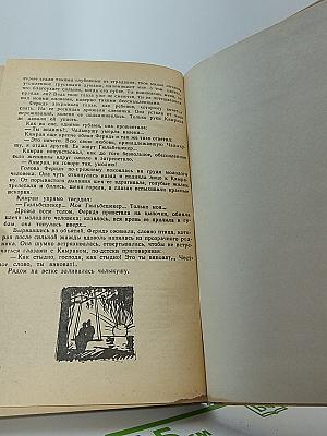 Птичка Певчая