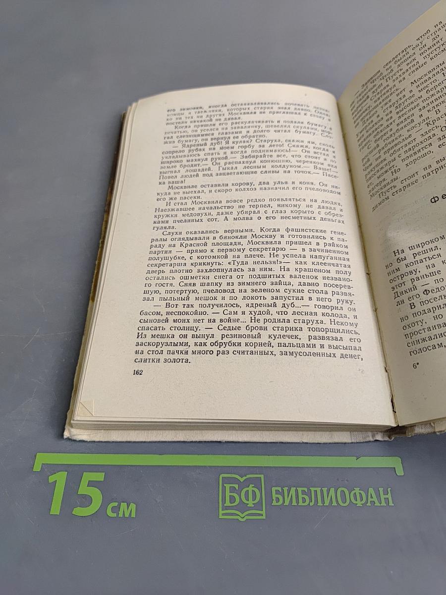 Седые тальники