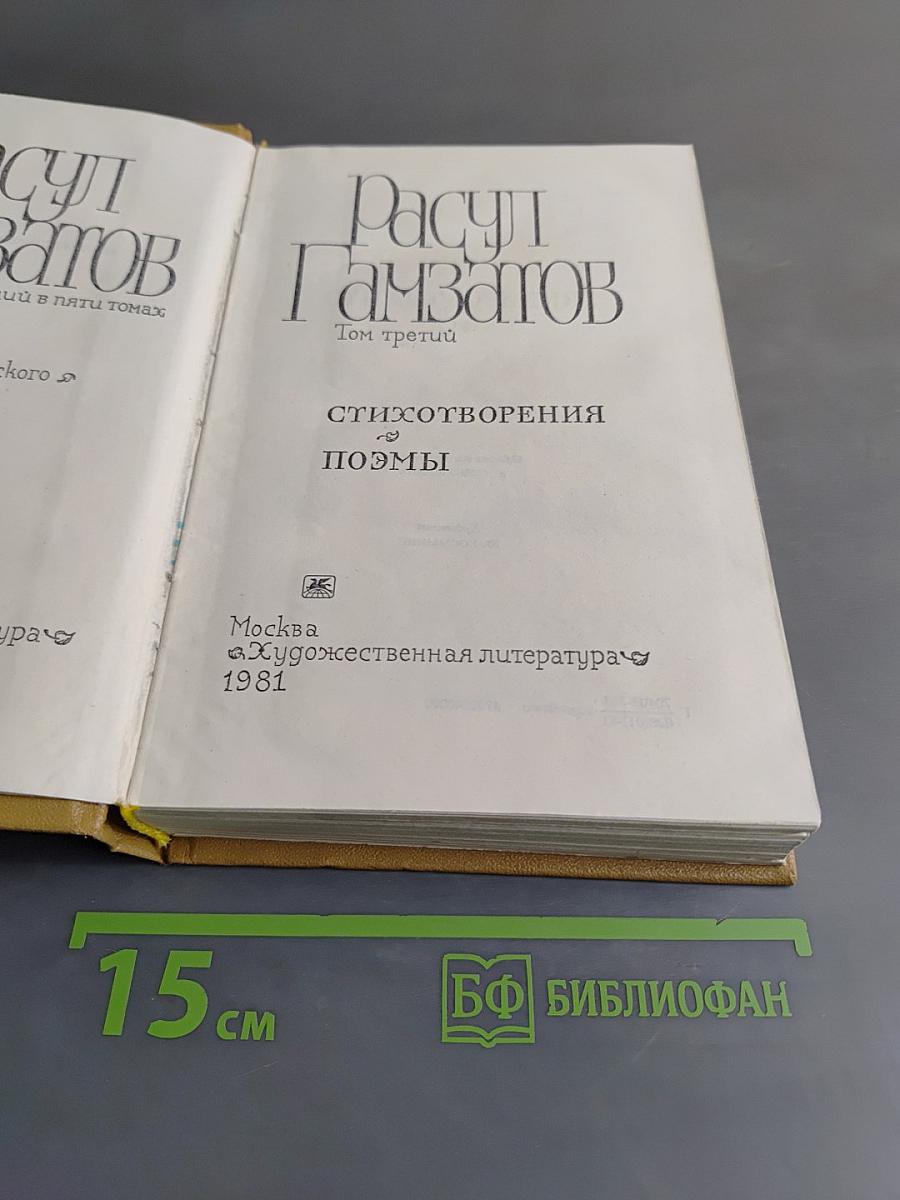 Стихотворения и поэмы. Том третий