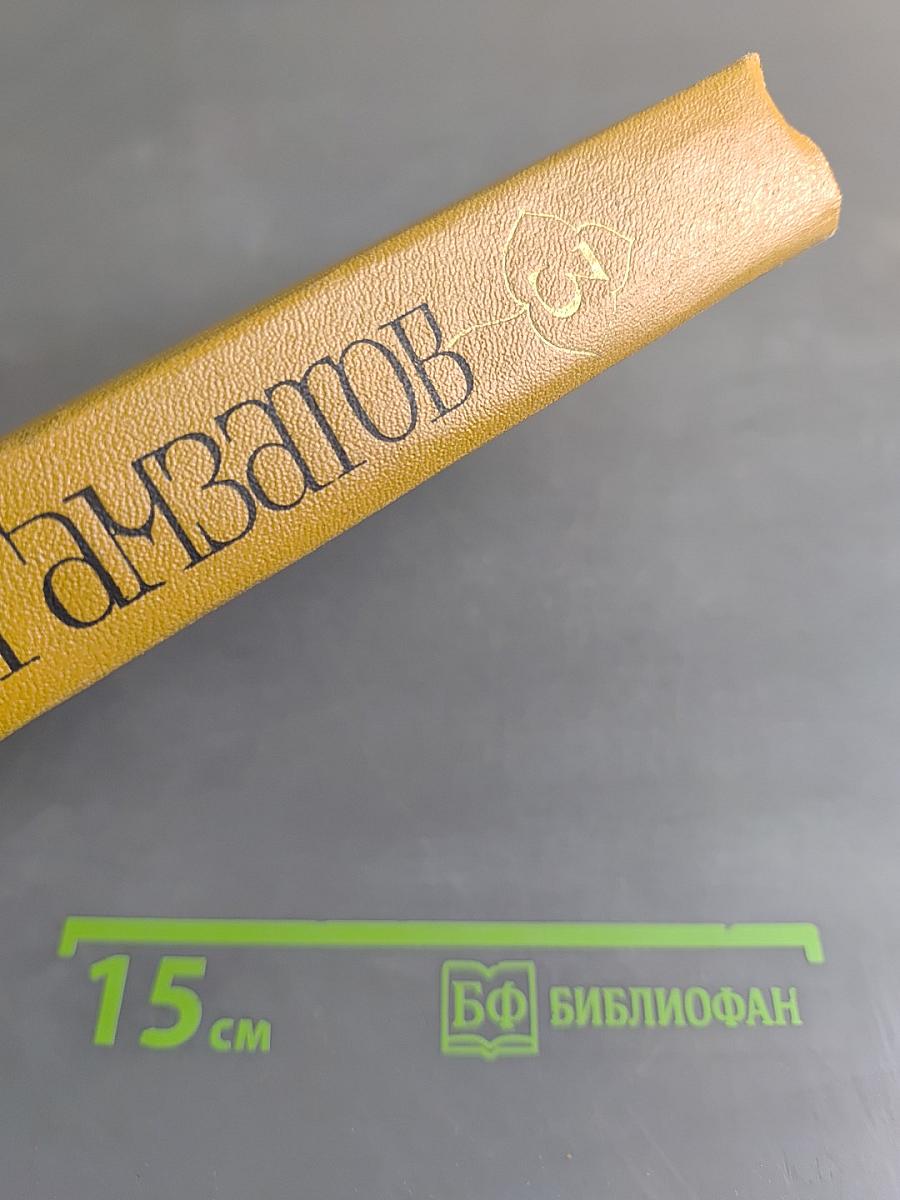 Стихотворения и поэмы. Том третий