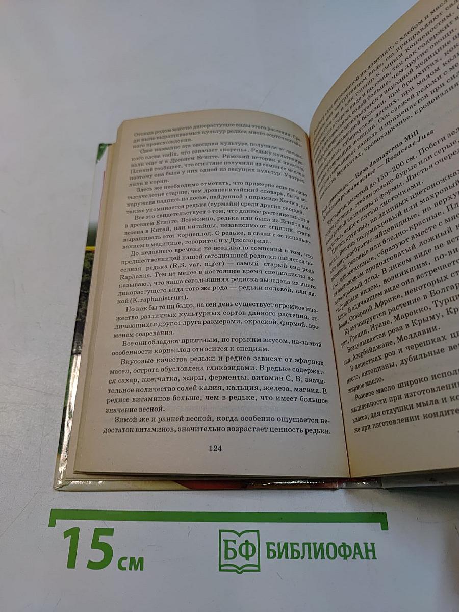 Специи и пряности