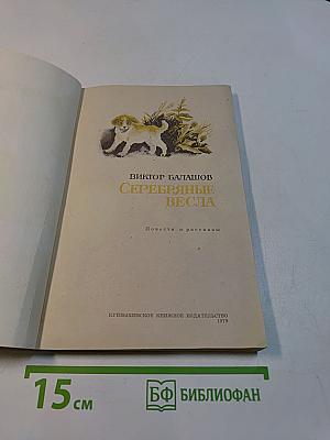 Серебряные весла