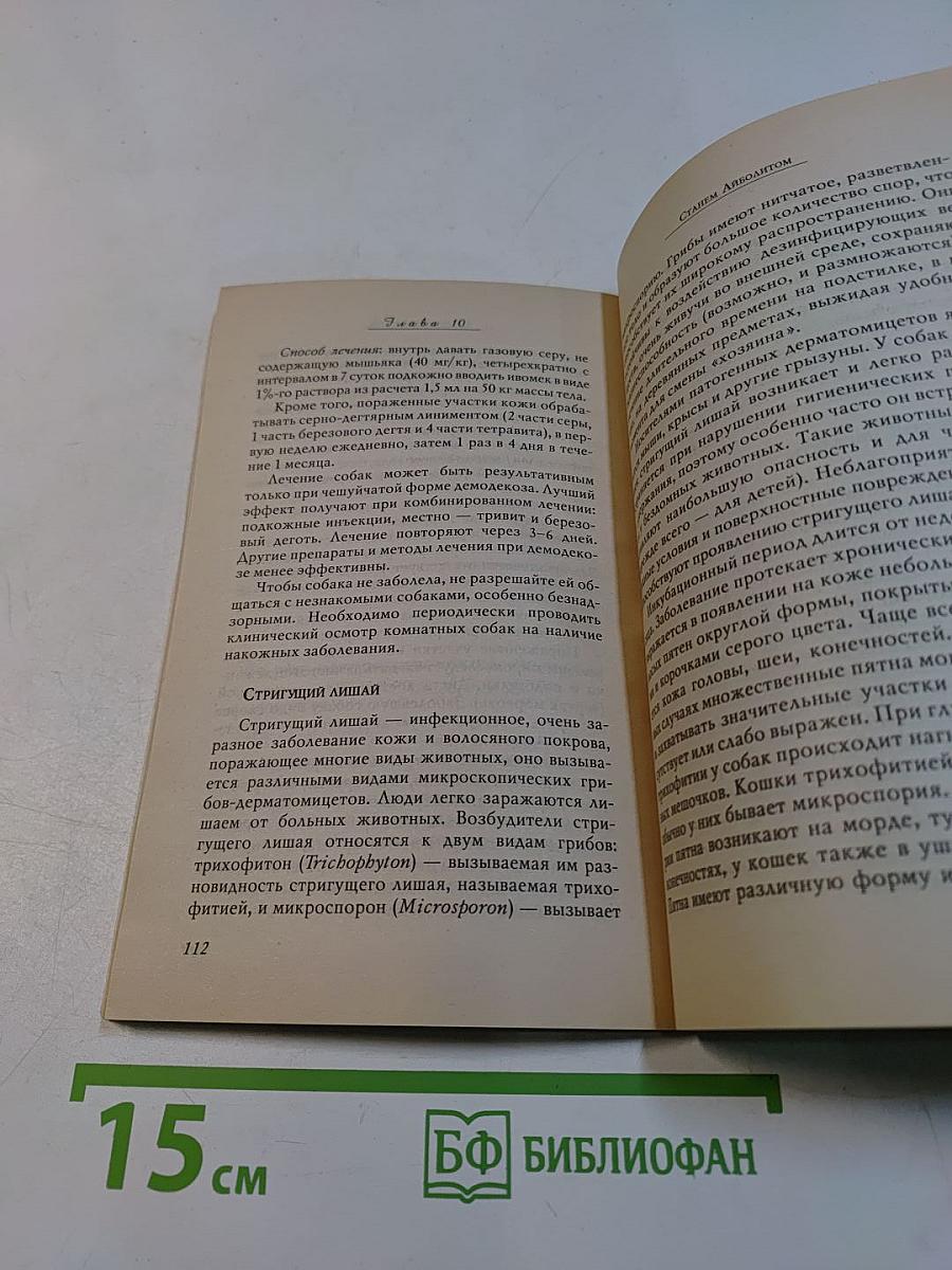 Березовый деготь в лечении псориаза и других болезней кожи
