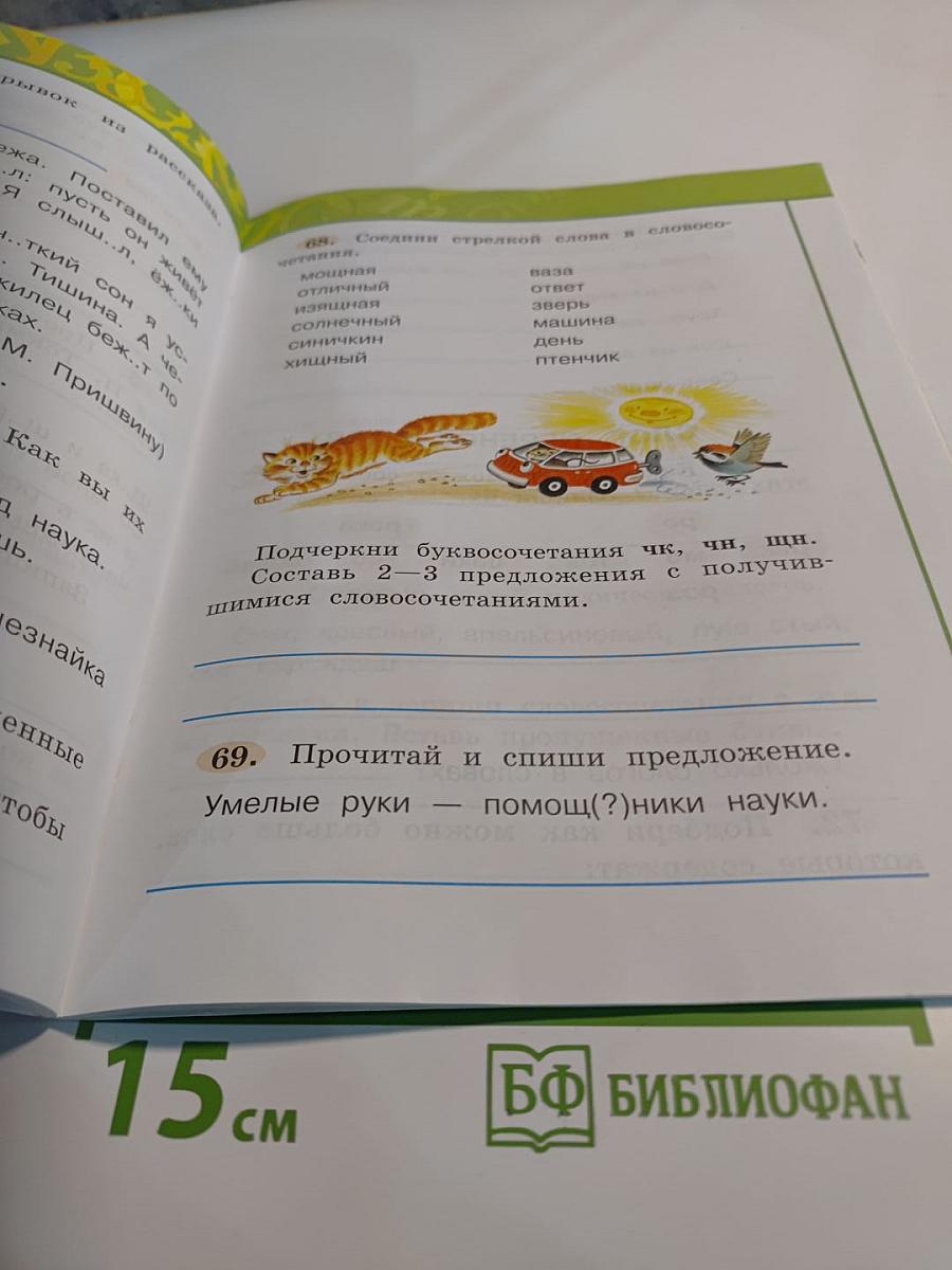 Русский язык. Рабочая тетрадь. 2 класс. Часть 1