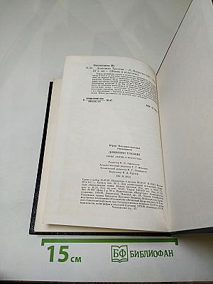 Доминико Трезини