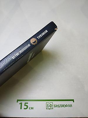 Доминико Трезини