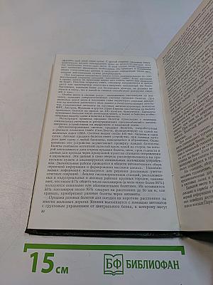 Совершенствование пассажирских перевозок