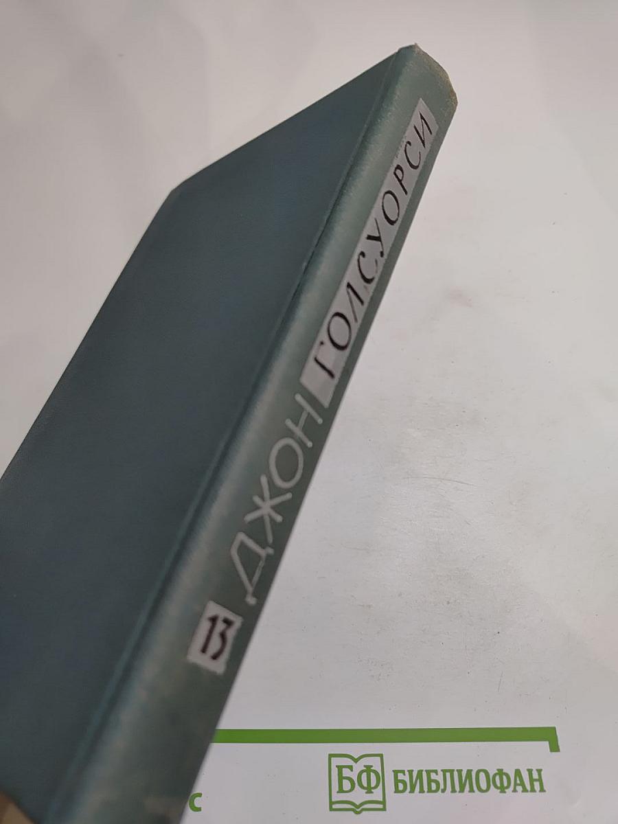 Собрание сочинений в шестнадцати томах. Том 13