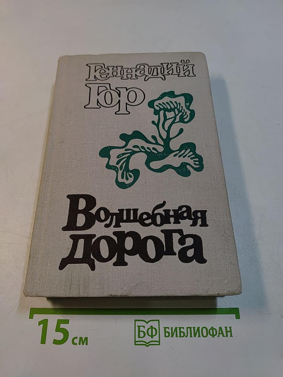 Волшебная дорога