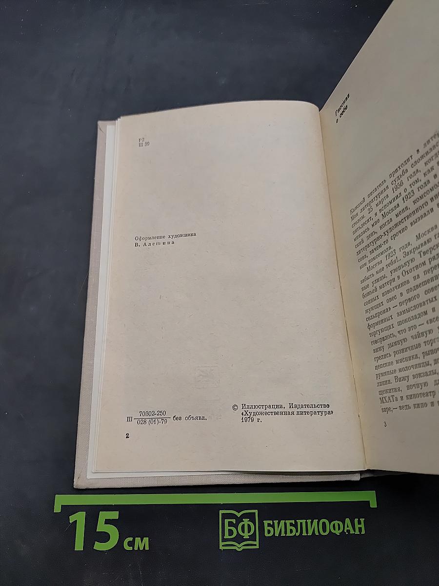 Записки следователя