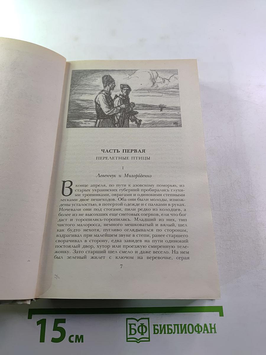 Беглые в Новороссии. Воля. Княжна Тараканова