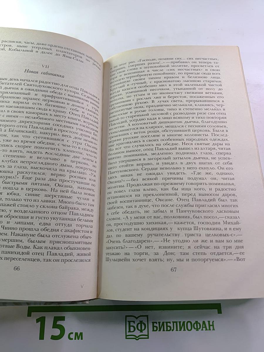 Беглые в Новороссии. Воля. Княжна Тараканова