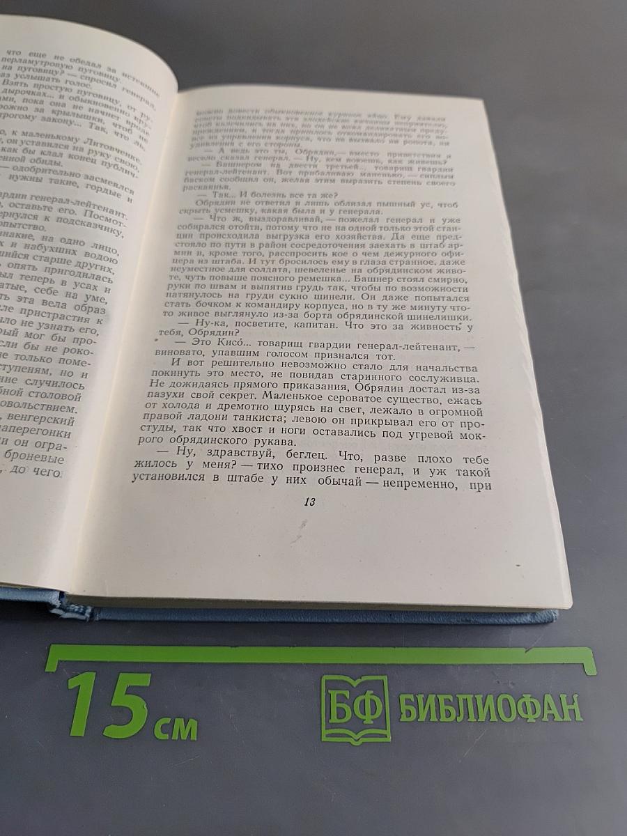 Взятие великошумска