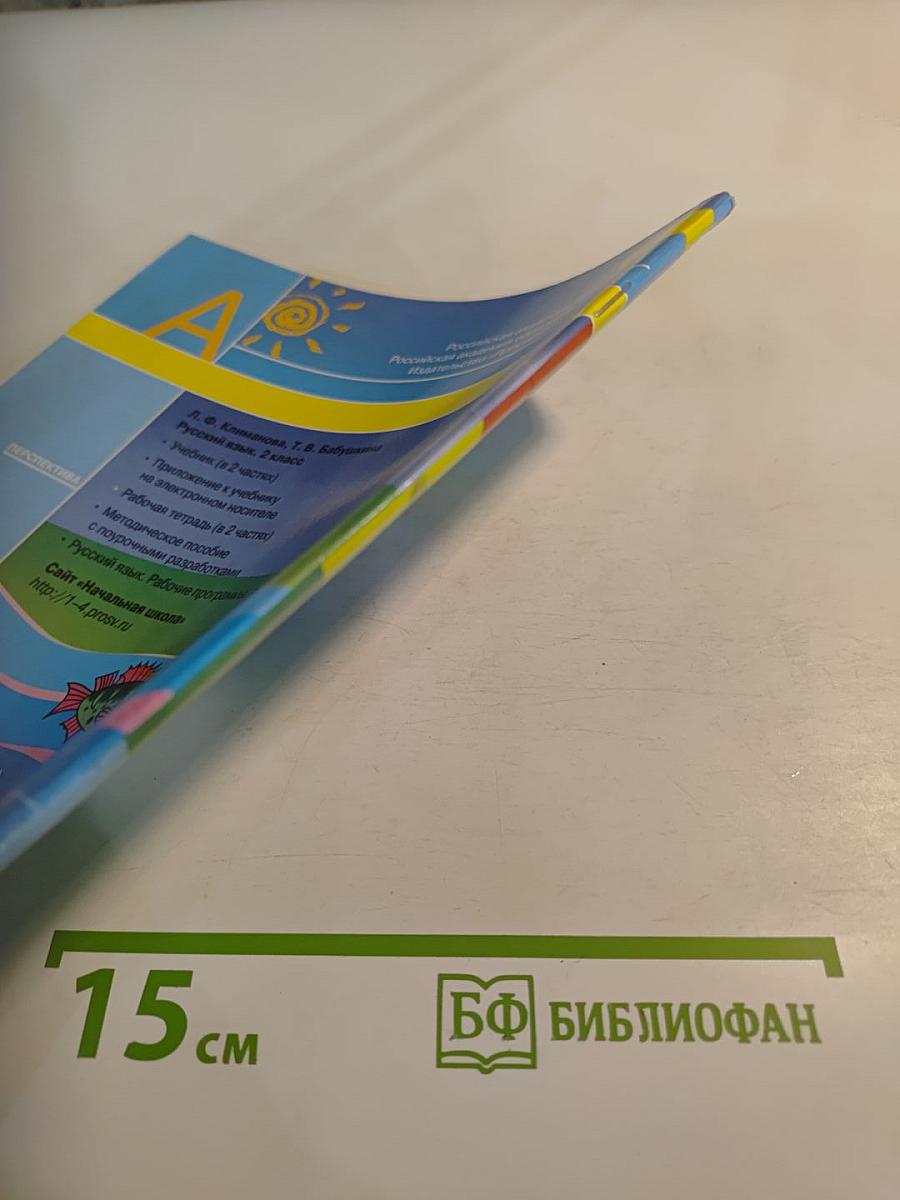 Русский язык. Рабочая тетрадь. 2 класс. Часть вторая