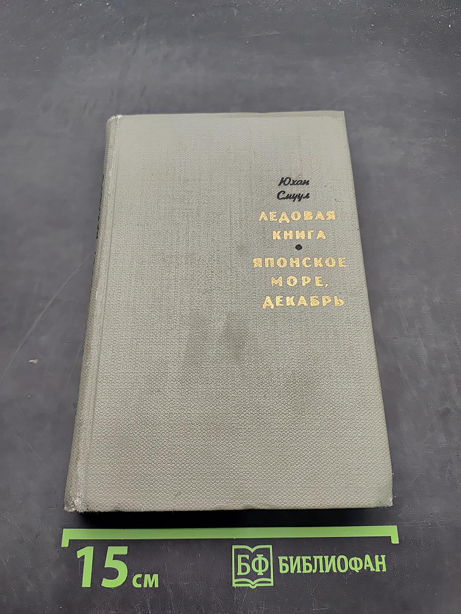 Ледовая книга. Японское море, декабрь