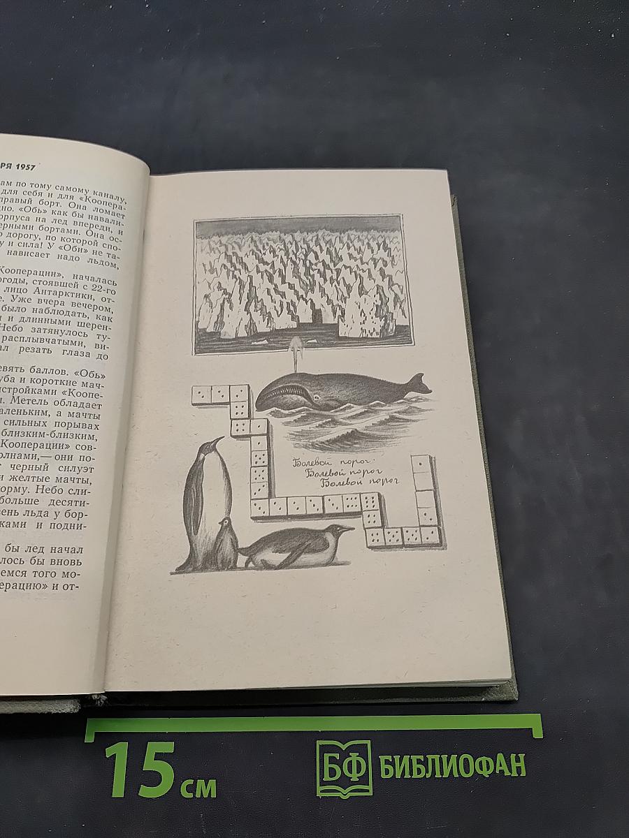 Ледовая книга. Японское море, декабрь